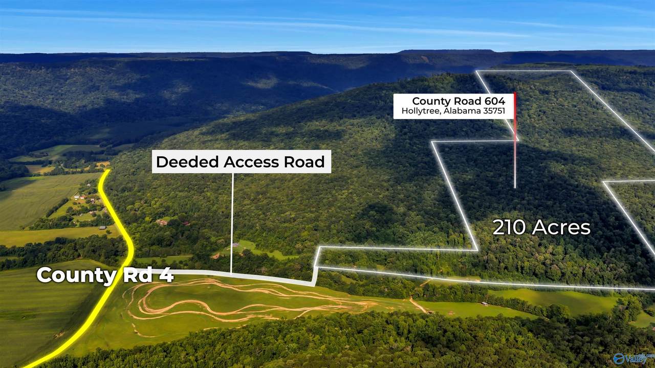 210 Acres County Road 604 - Photo 1