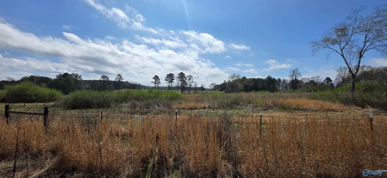 13.51 County Road 107 - Photo 1