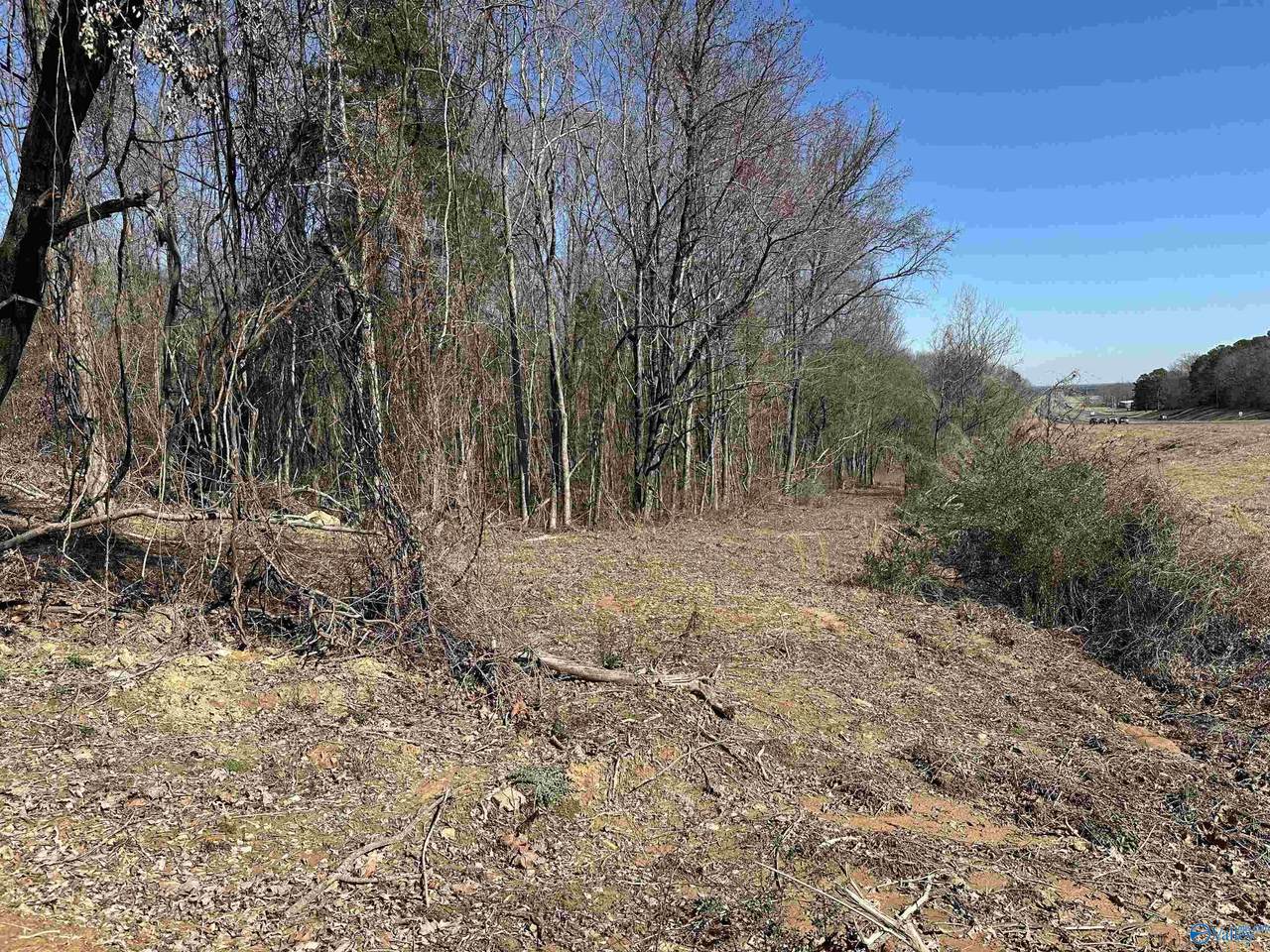 13 acres Gordon Terry Parkway - Photo 1
