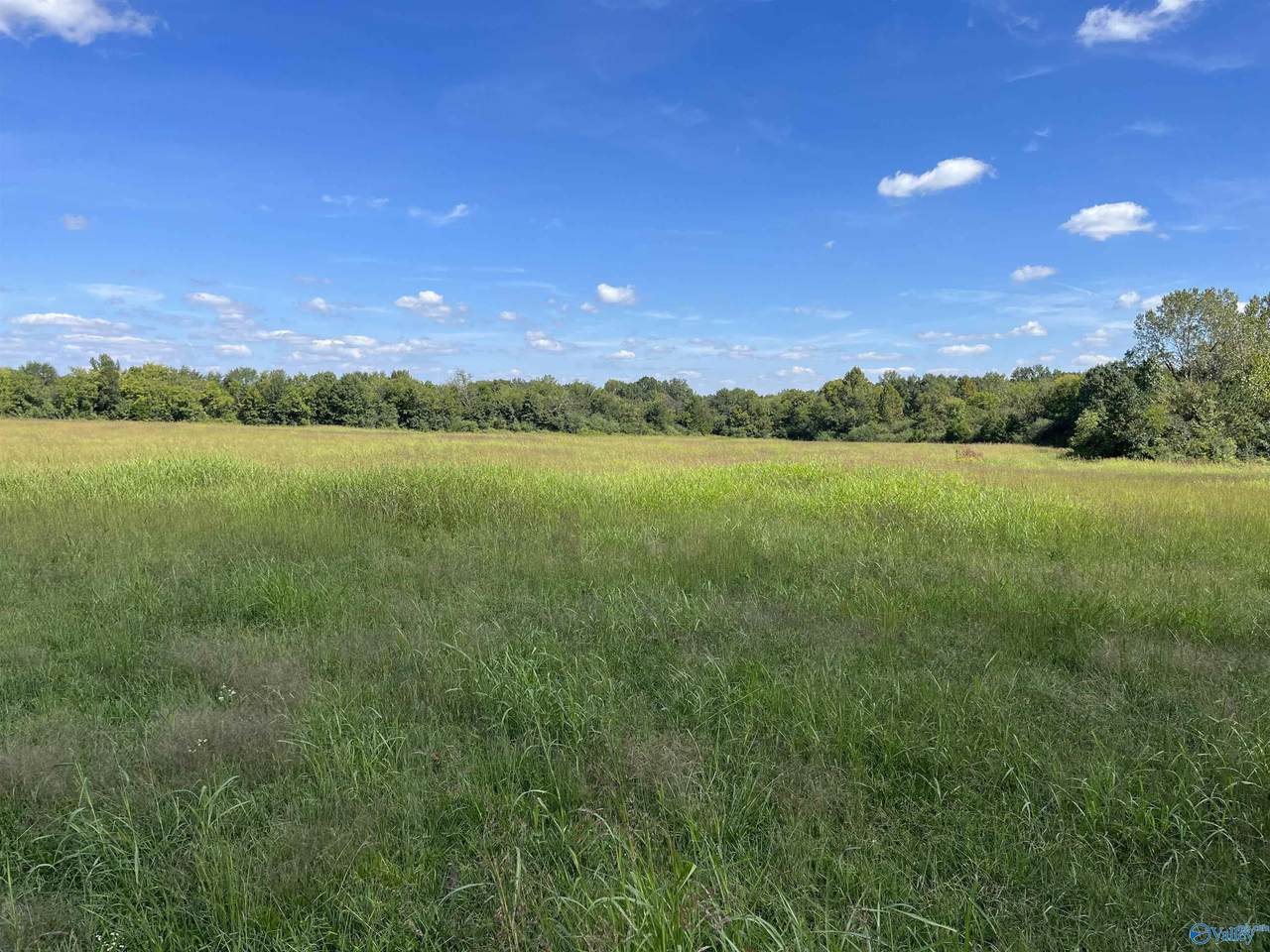 40 Acres County Road 205 - Photo 1