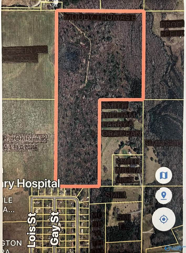 60 Acres Parker Road - Photo 1