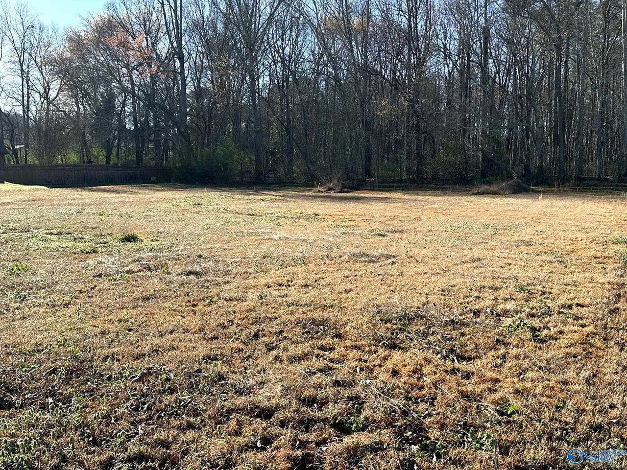 .68 acres Eddy Scant City Road - Photo 1