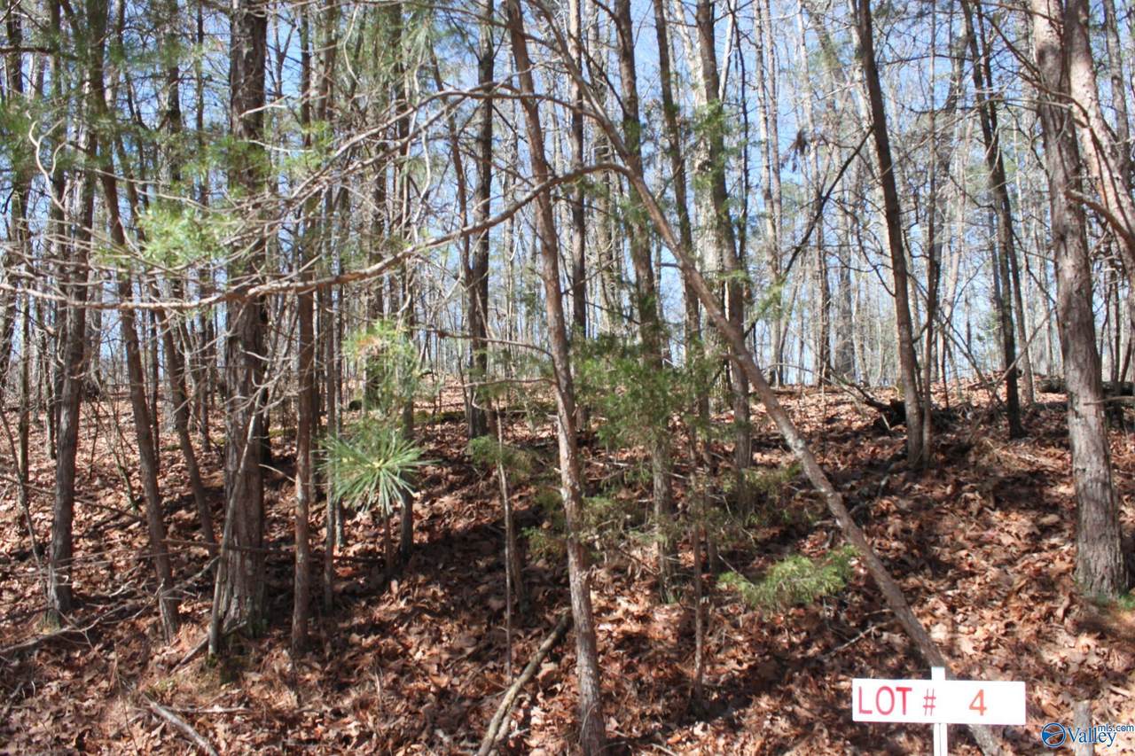 Lot 4 Hickory Lane - Photo 1