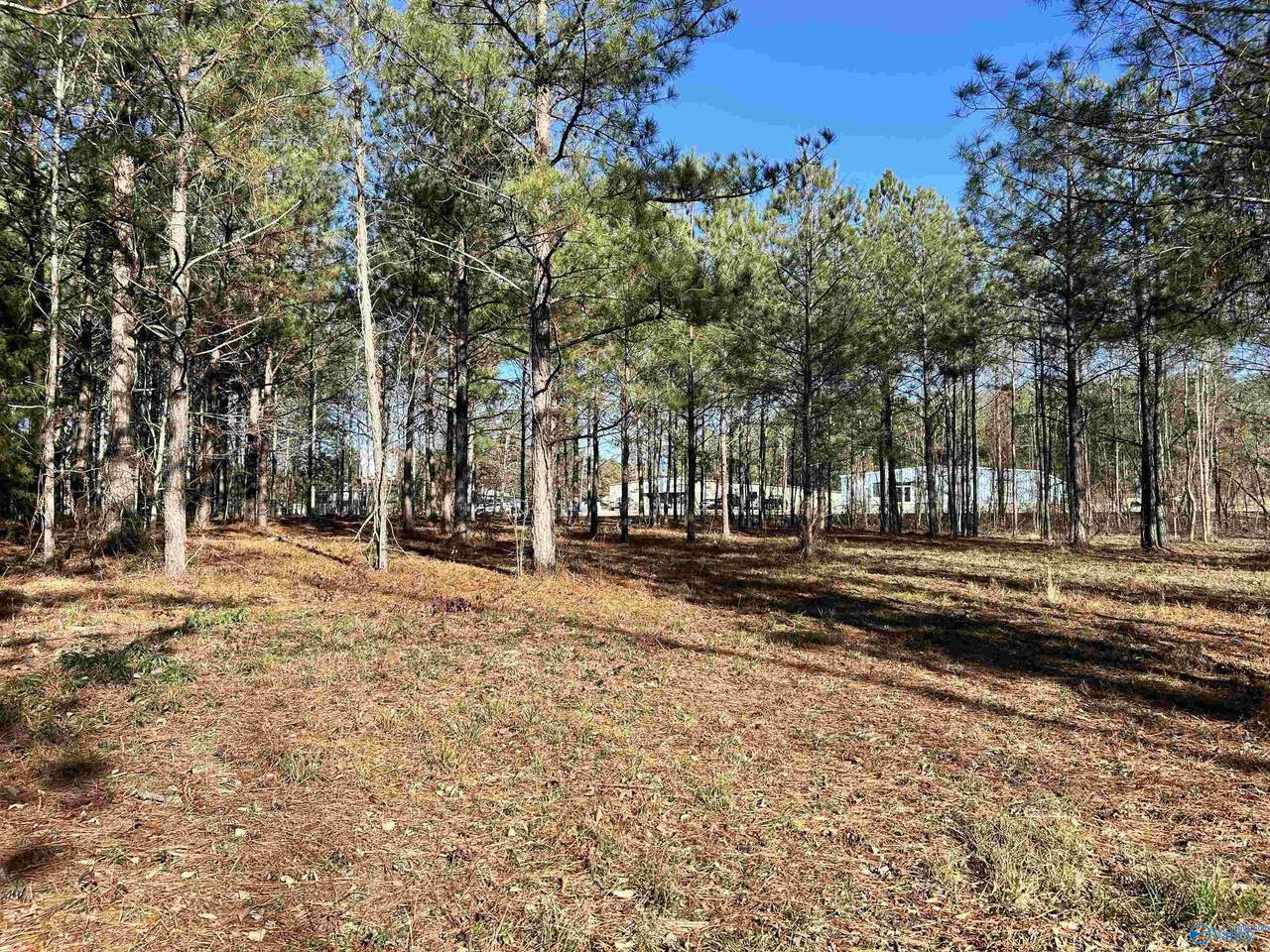 5.61 +/- Acres Hwy 9 - Photo 1