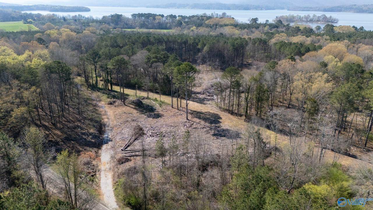 20.6 Acres Murphy Hill Road - Photo 1