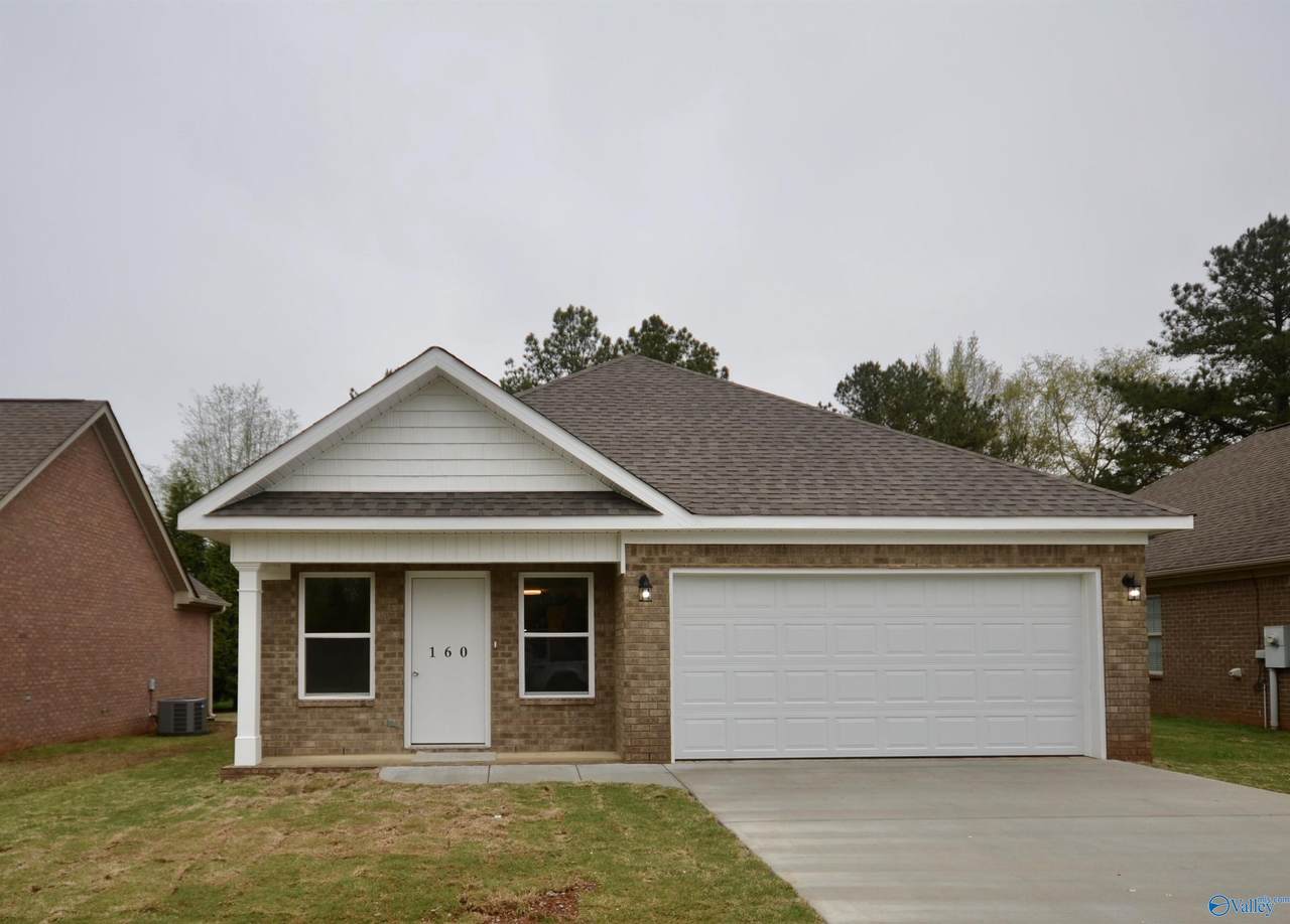 160 Swansea Lane - Photo 1