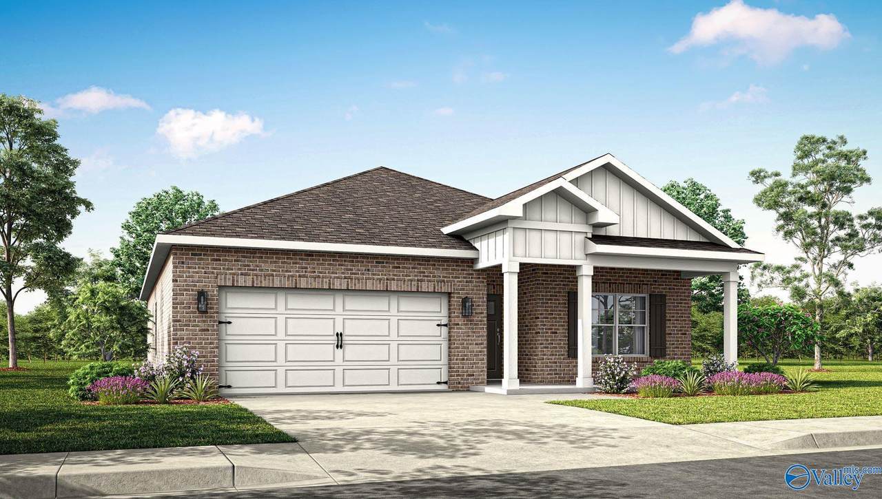 384 Sandy Oak Drive - Photo 1