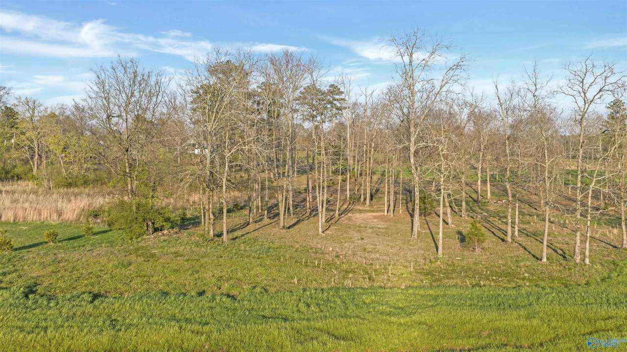 https://bt-photos.global.ssl.fastly.net/nalmls/1280_boomver_1_21914603-2.jpg
