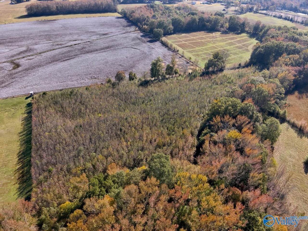 17.82 acres County Road 67 - Photo 1