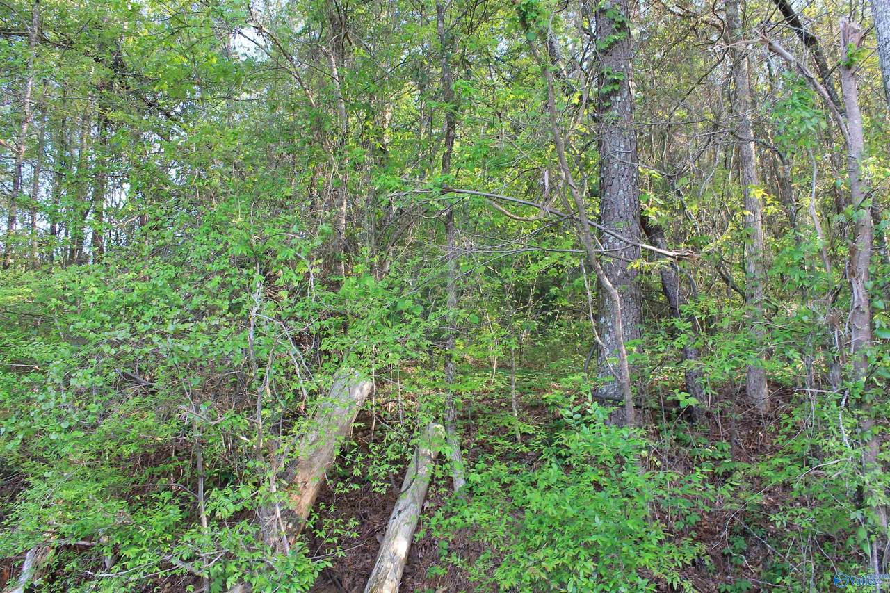 6.65 West Lacon Road - Photo 1