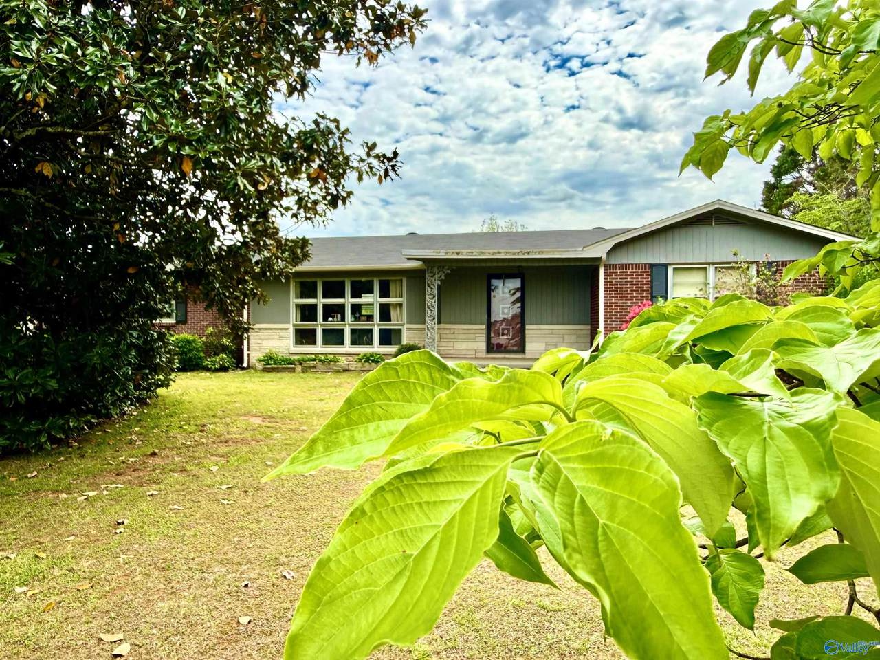 3609 Williams Lane - Photo 1