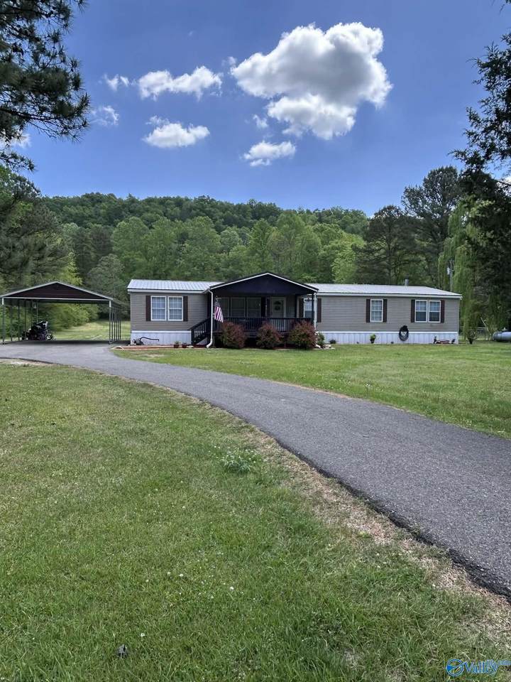 1028 Mount Gilead Road - Photo 1