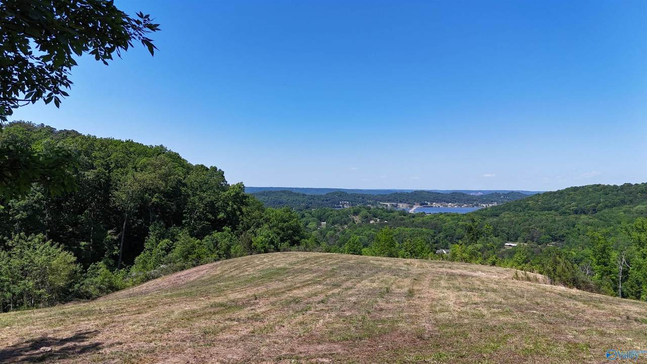 Tracts 4&5 Rocky Branch Road - Photo 1