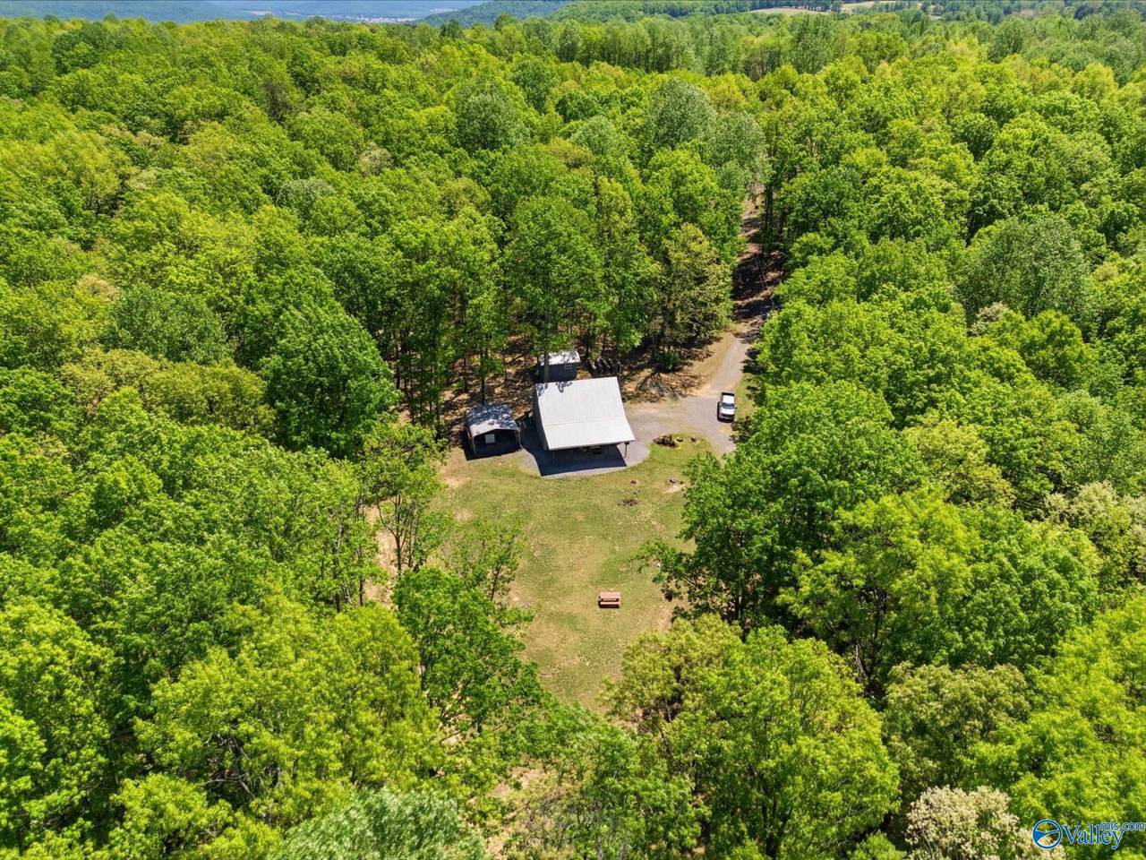 6651 County Road 107 - Photo 1