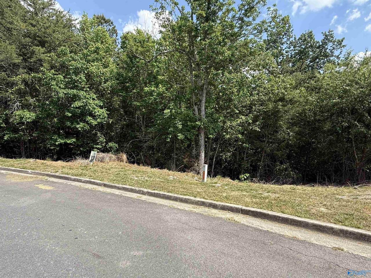 Lot 19 Ridgefield Circle - Photo 1