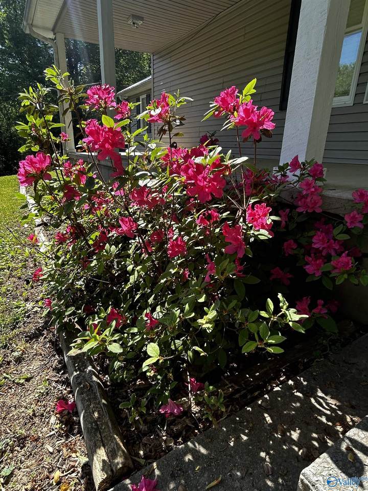 https://bt-photos.global.ssl.fastly.net/nalmls/1280_boomver_1_21916423-2.jpg