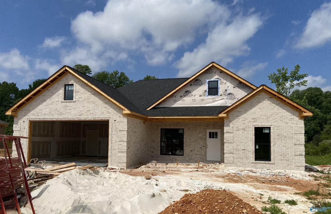 11207 Percy Drive - Photo 1