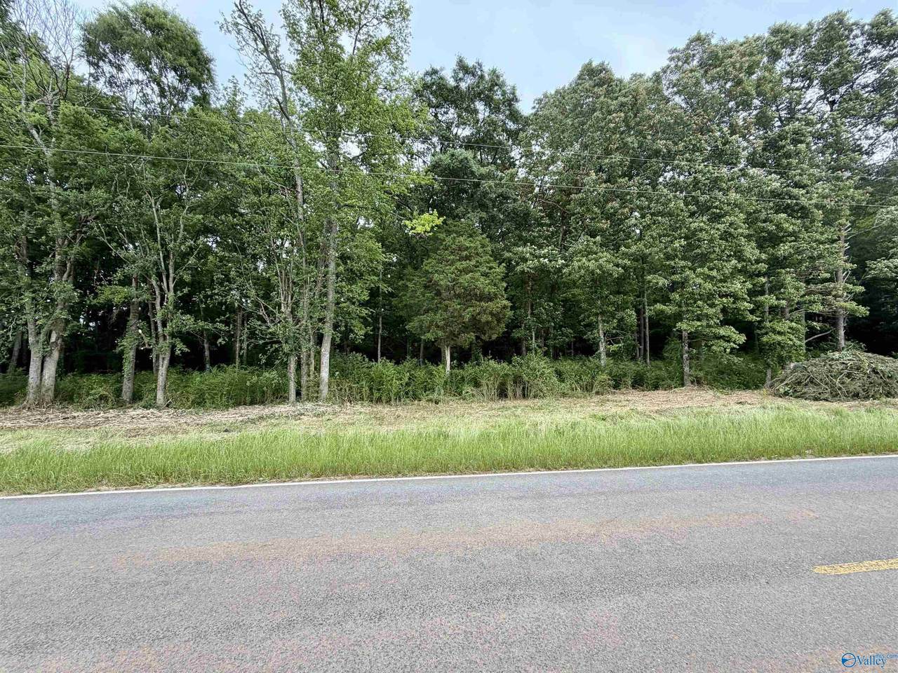 3.44 County Road 91 - Photo 1