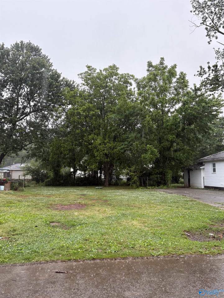 1207 Broadus Avenue - Photo 1