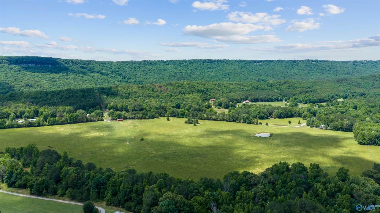 110 ACRES County Road 15 - Photo 1