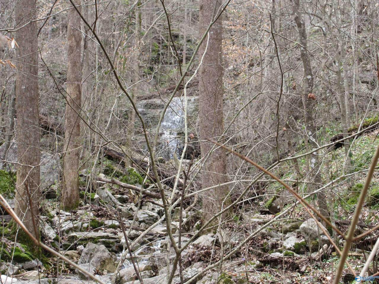 1958 County Road 32 - Photo 1
