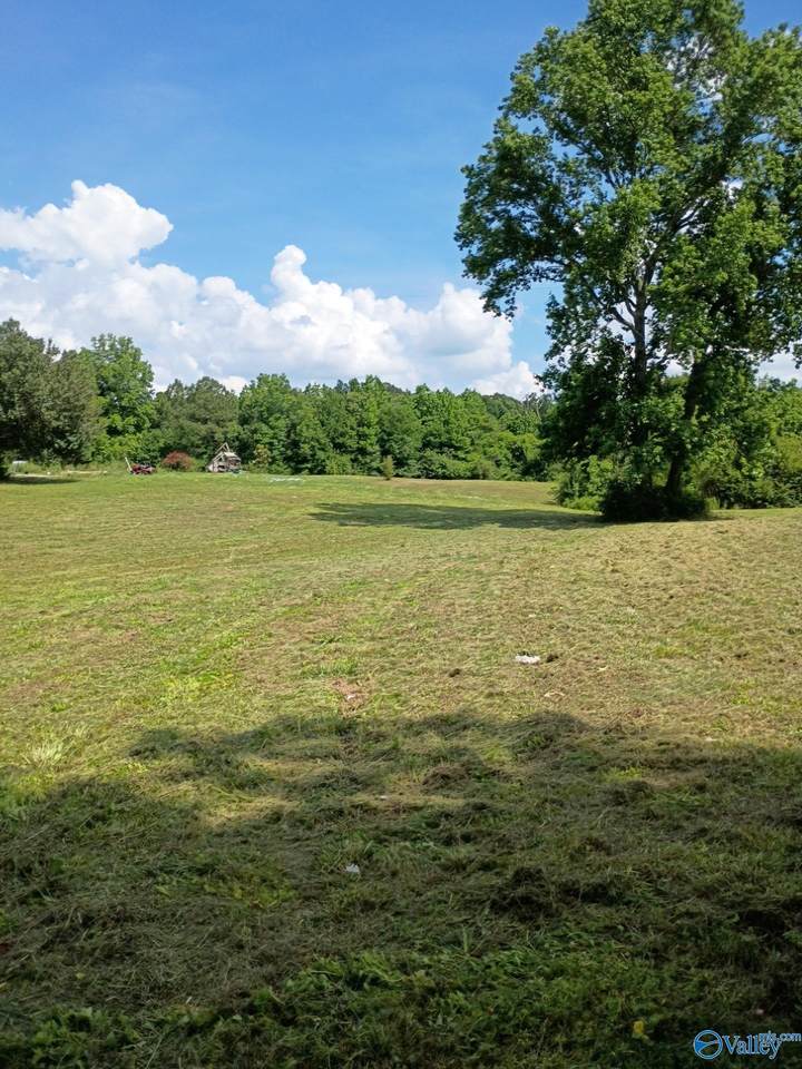 757 Mockingbird Road - Photo 1