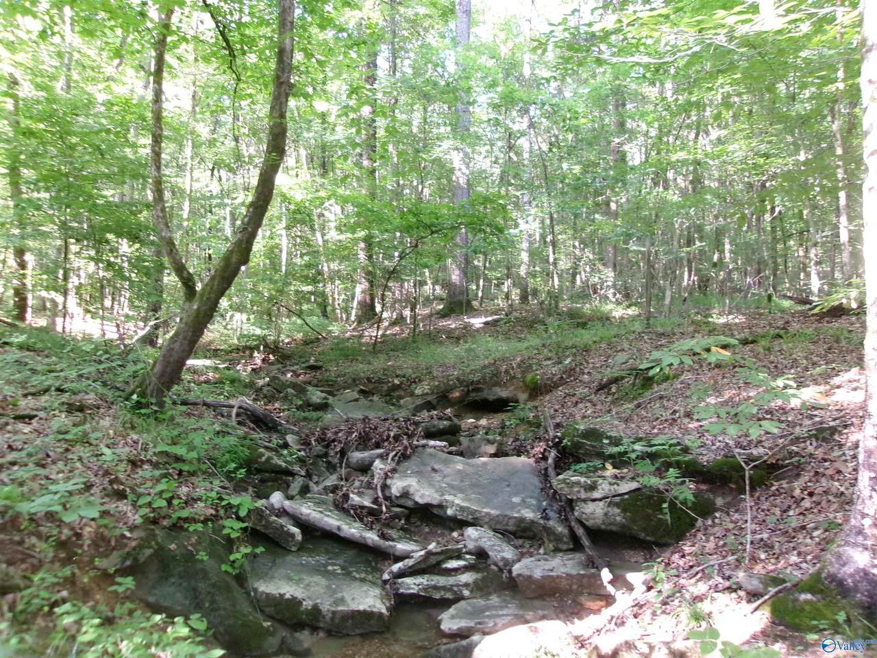 https://bt-photos.global.ssl.fastly.net/nalmls/orig_boomver_1_21919846-2.jpg