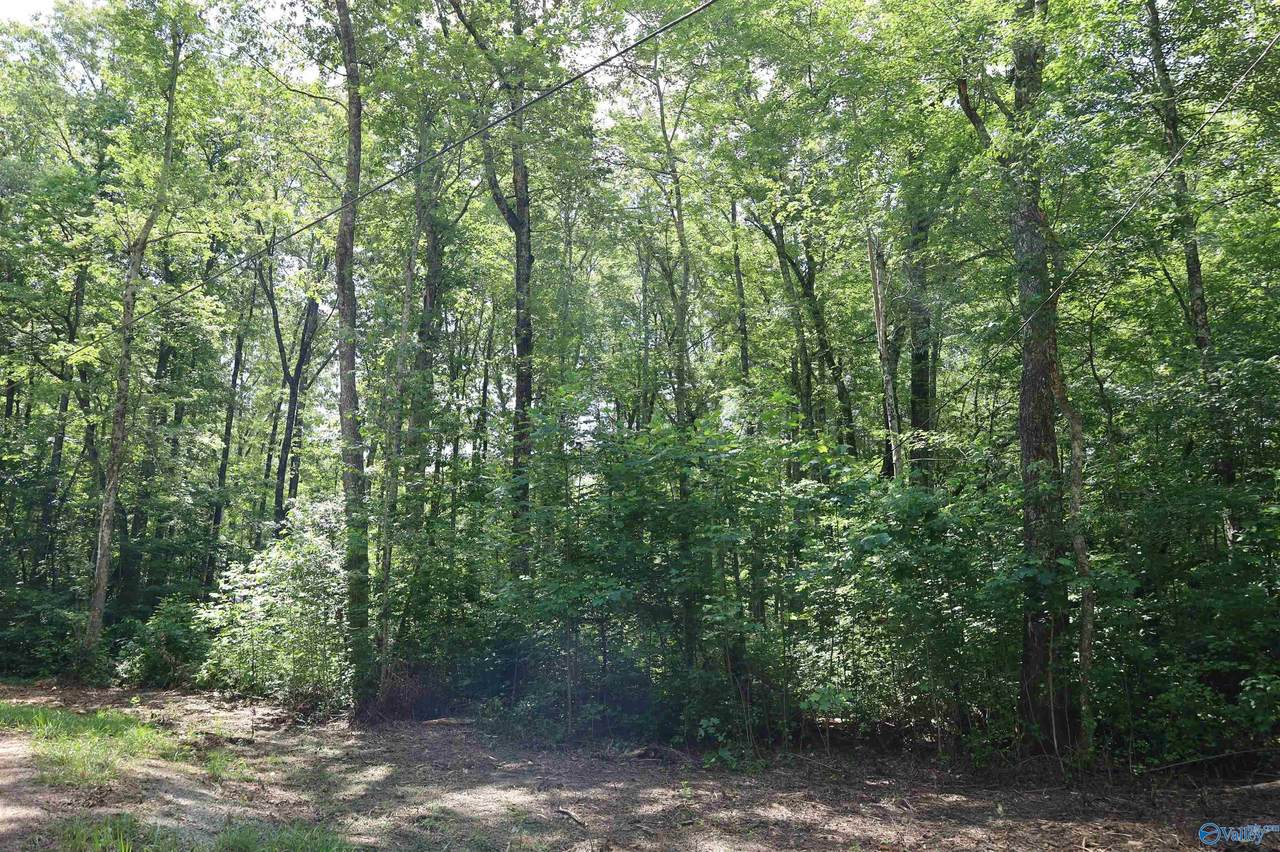 1.47 Acres Libby Lane - Photo 1