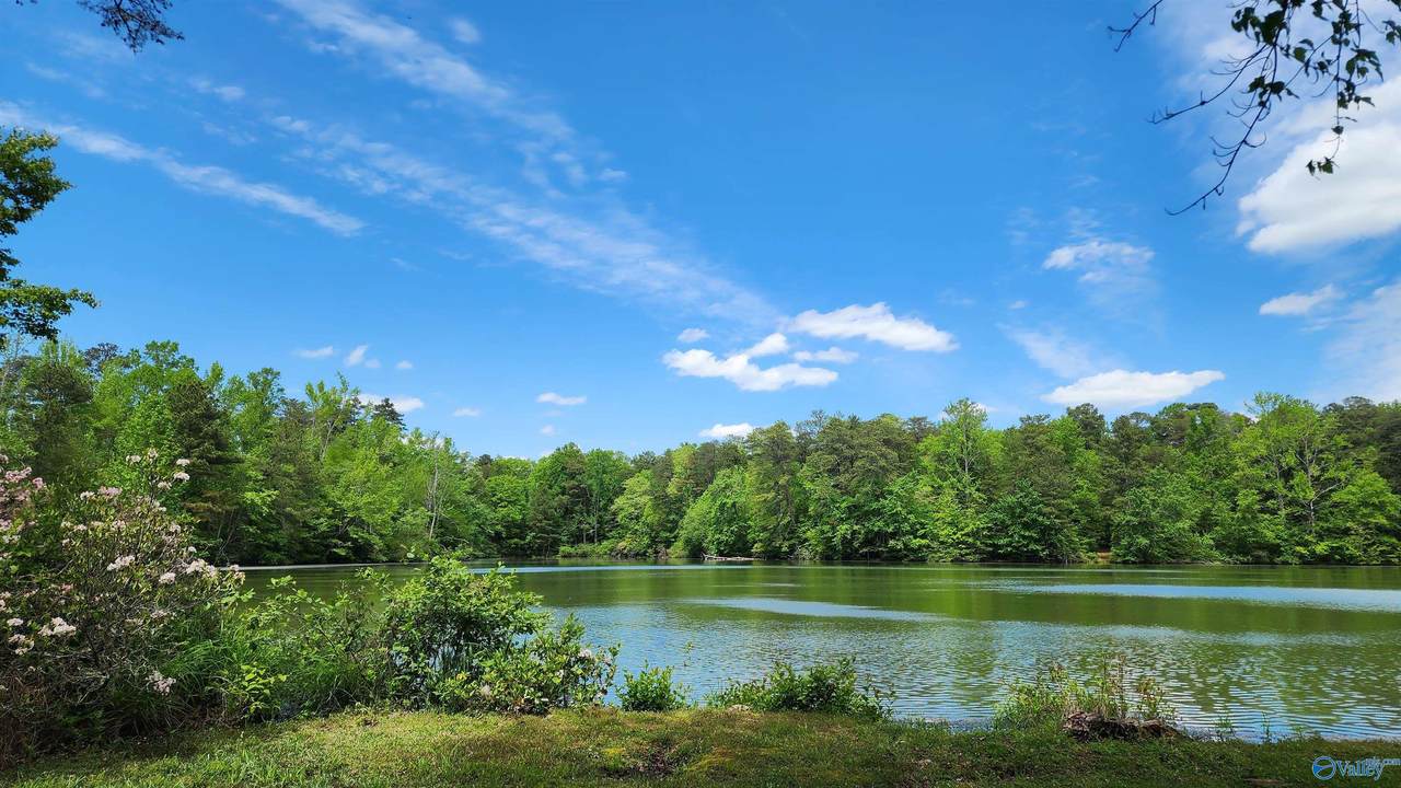 390 Moon Lake Road - Photo 1