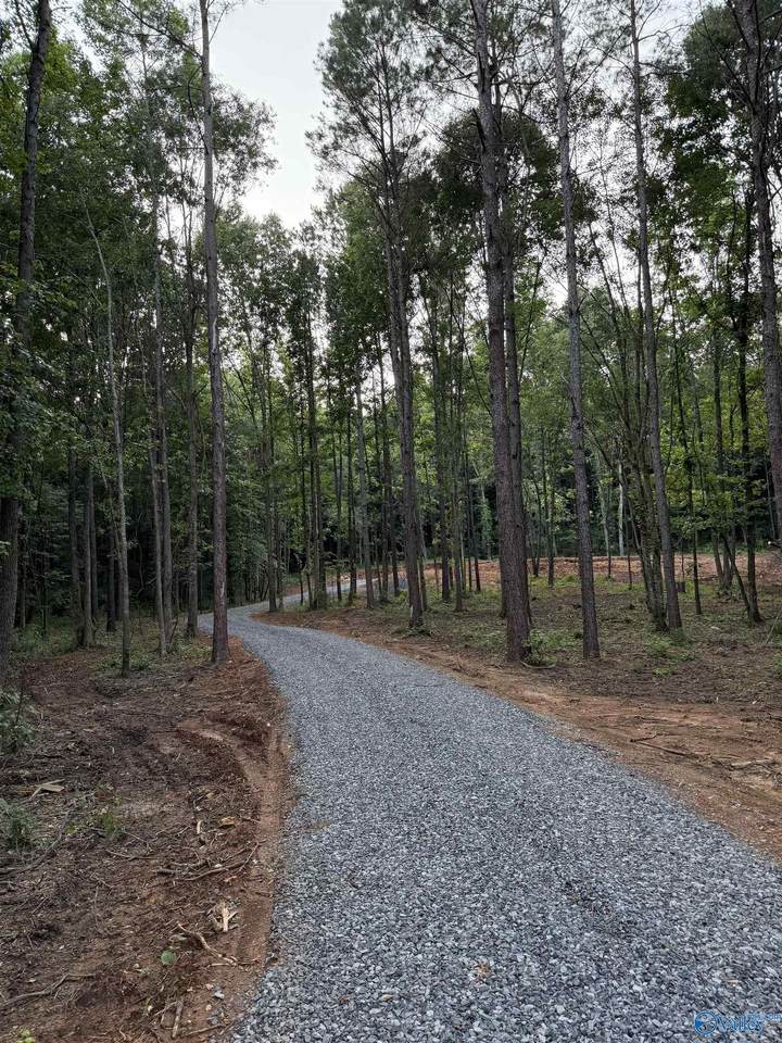 8+ acres Warrenton Road - Photo 1