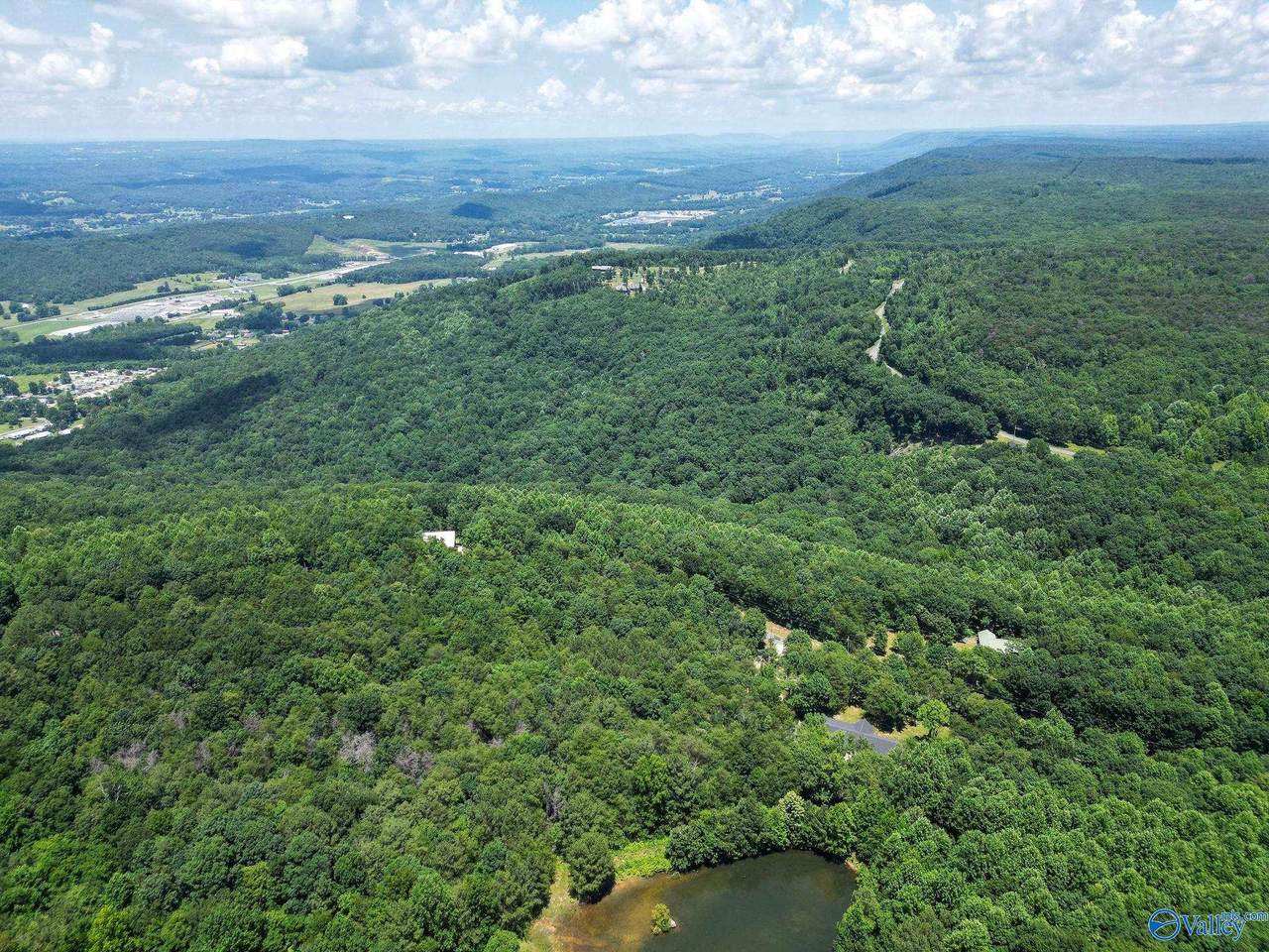 Lot 8 County Road 166 (Citadel Rock Road) - Photo 1