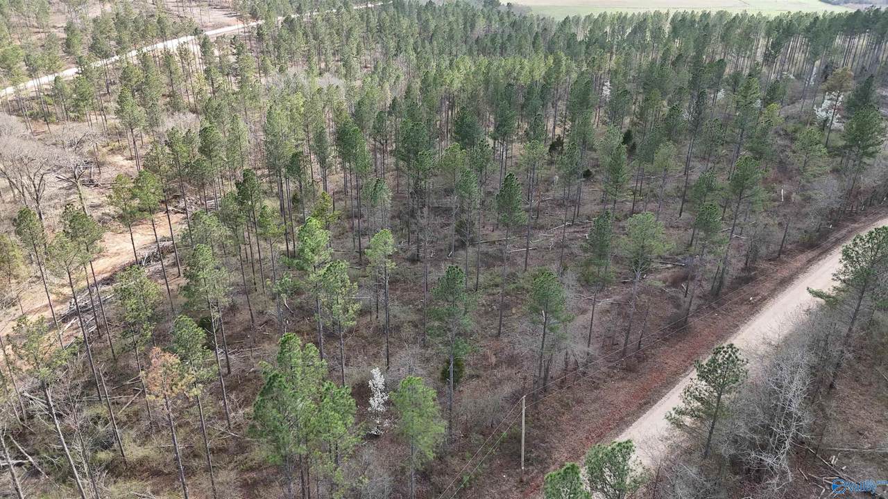 011 County Road 176 - Photo 1