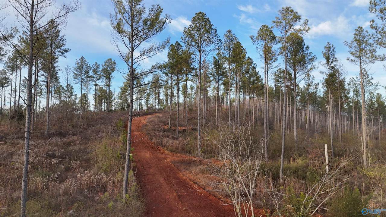 005 County Road 175 - Photo 1