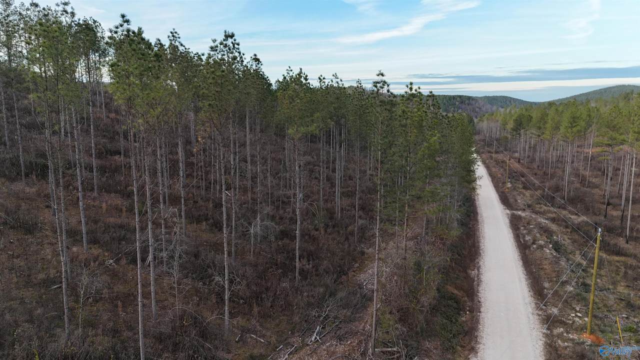 004 County Road 175 - Photo 1