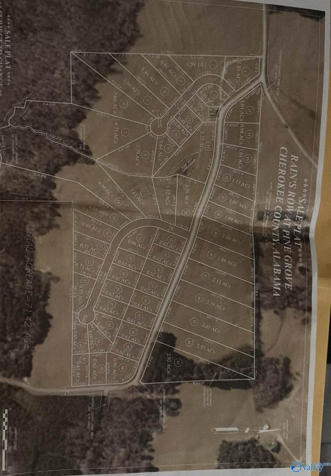 Lot 10 County Road 212 - Photo 1
