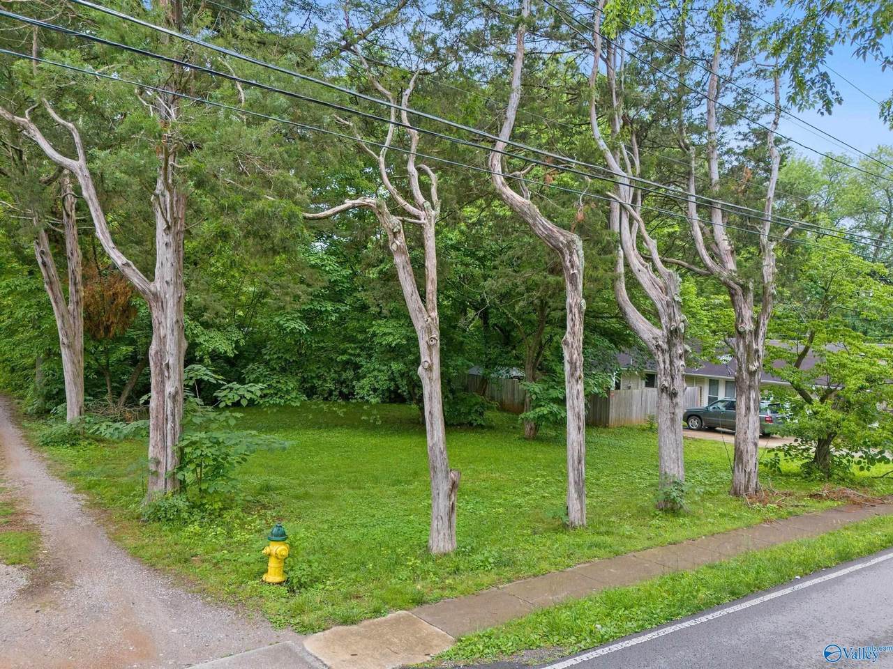 Lot 1 Maysville Road - Photo 1