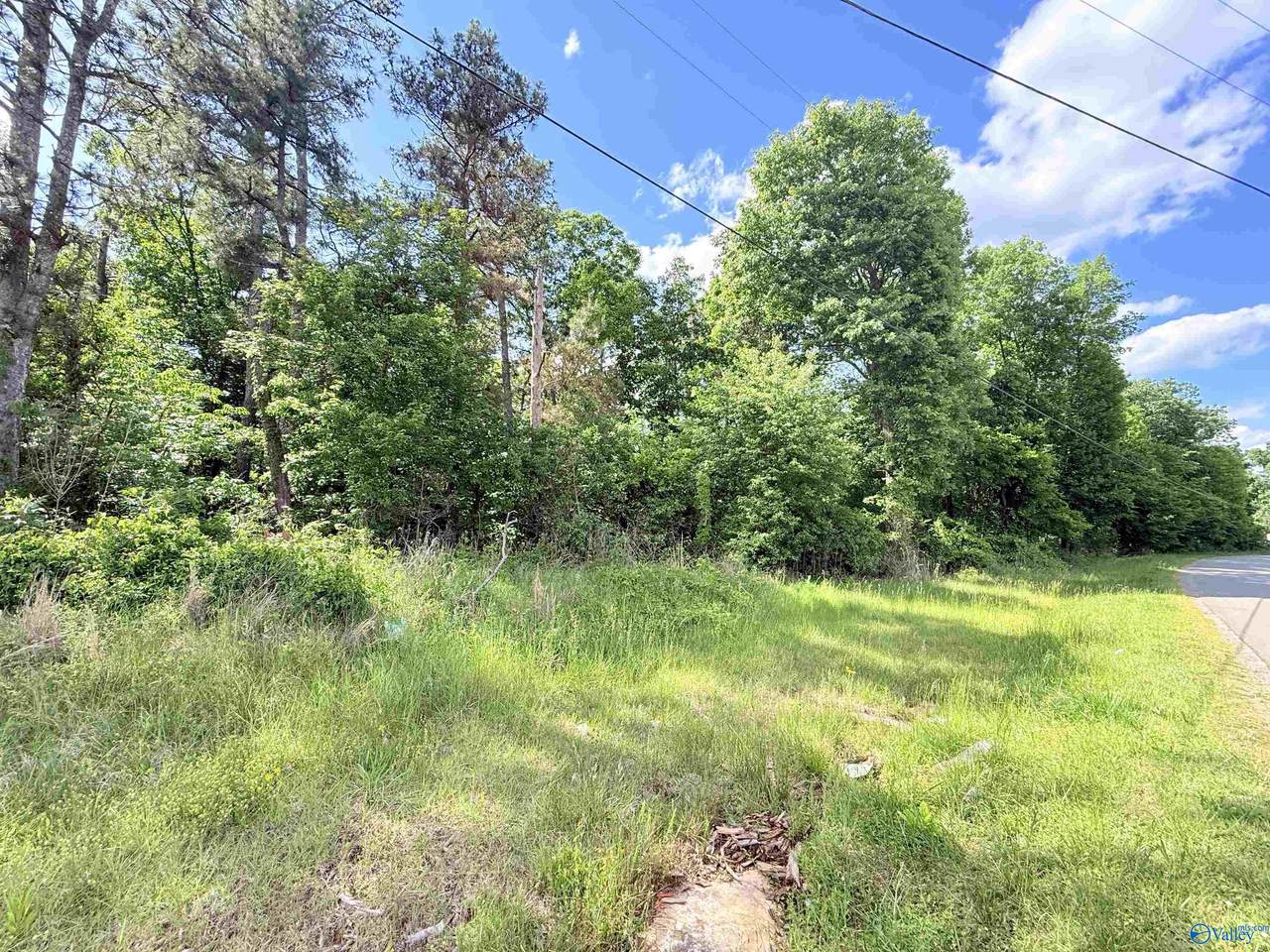 10 ac Sweet Home Rd - Photo 1