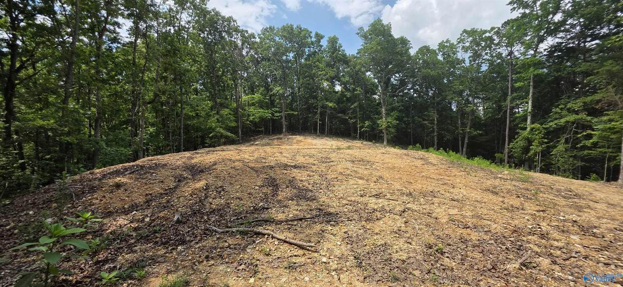 38ac Red Oak Drive - Photo 1