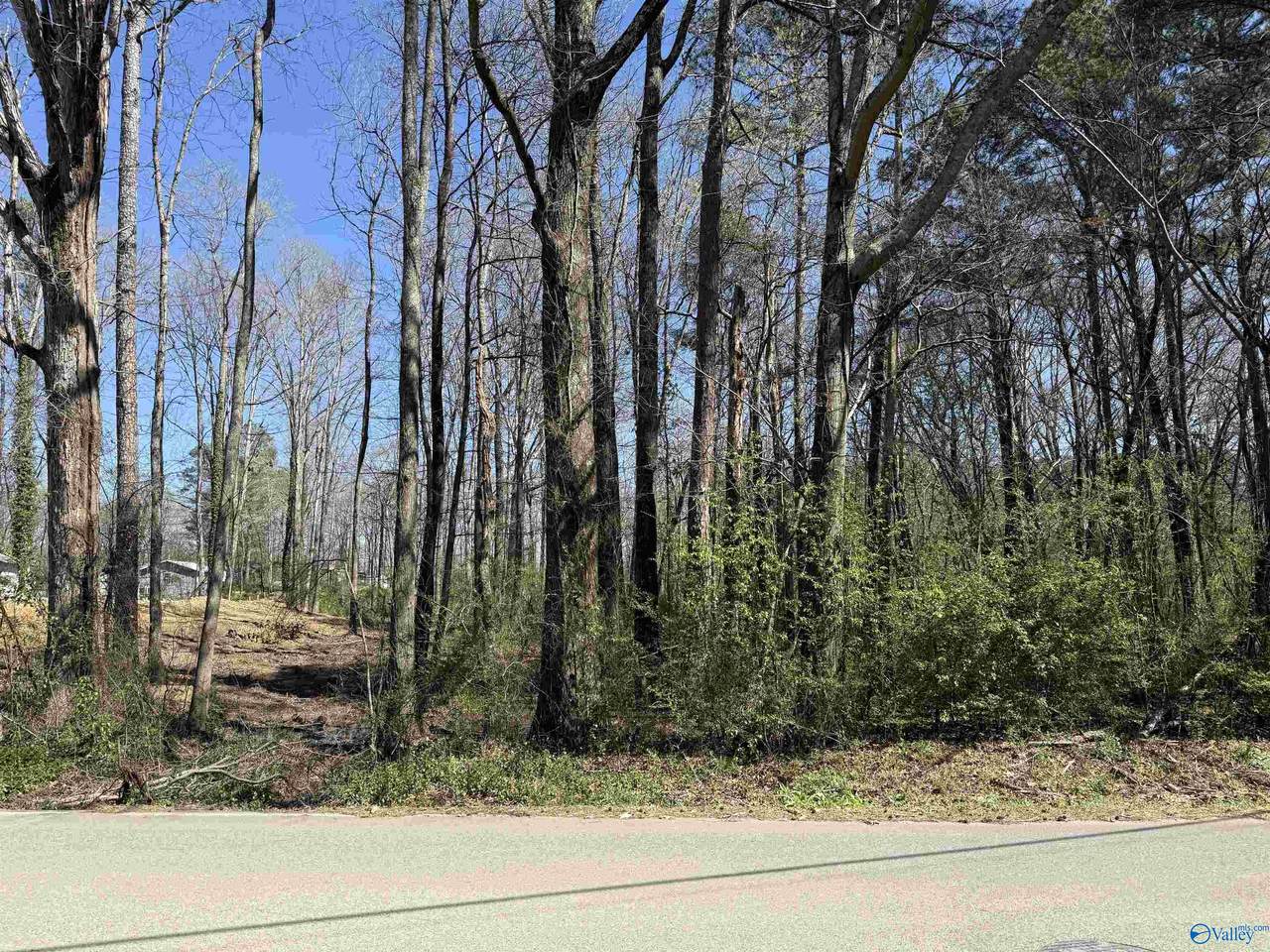 2 acres Al Hwy 69 - Photo 1