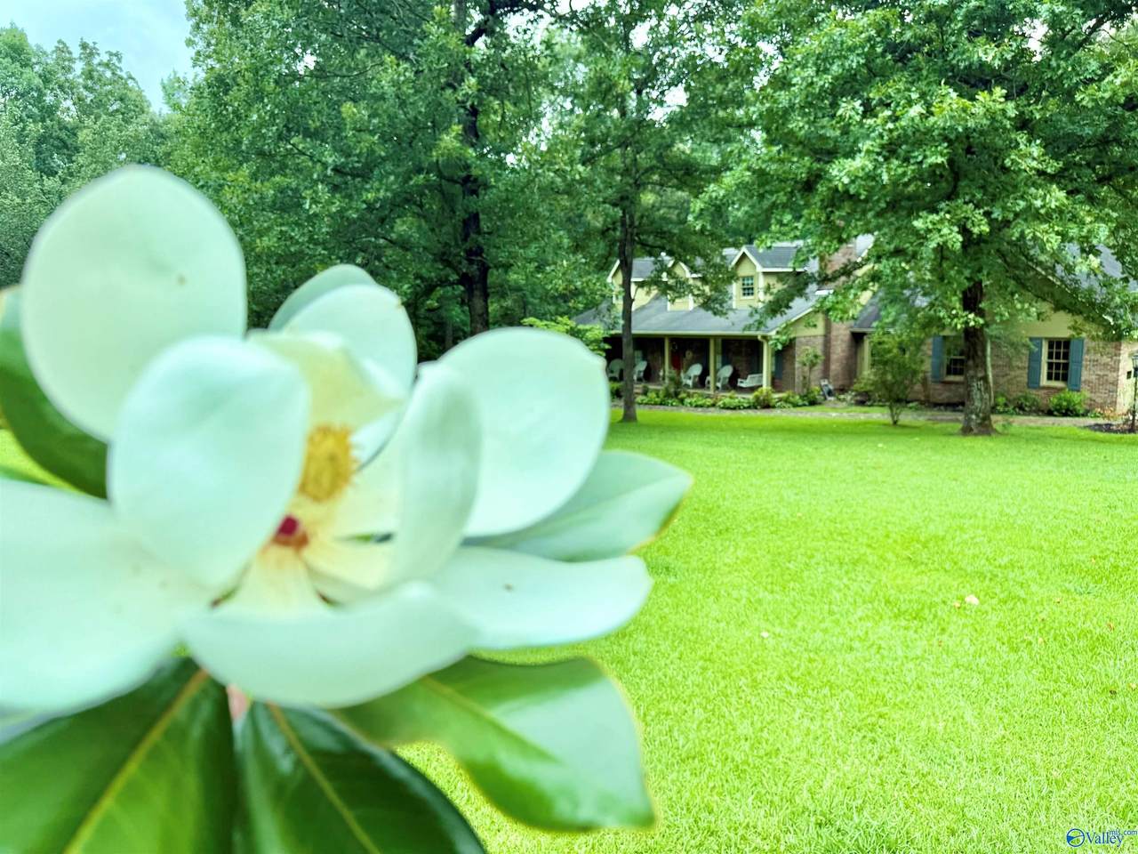 https://bt-photos.global.ssl.fastly.net/nalmls/1280_boomver_1_21921587-2.jpg