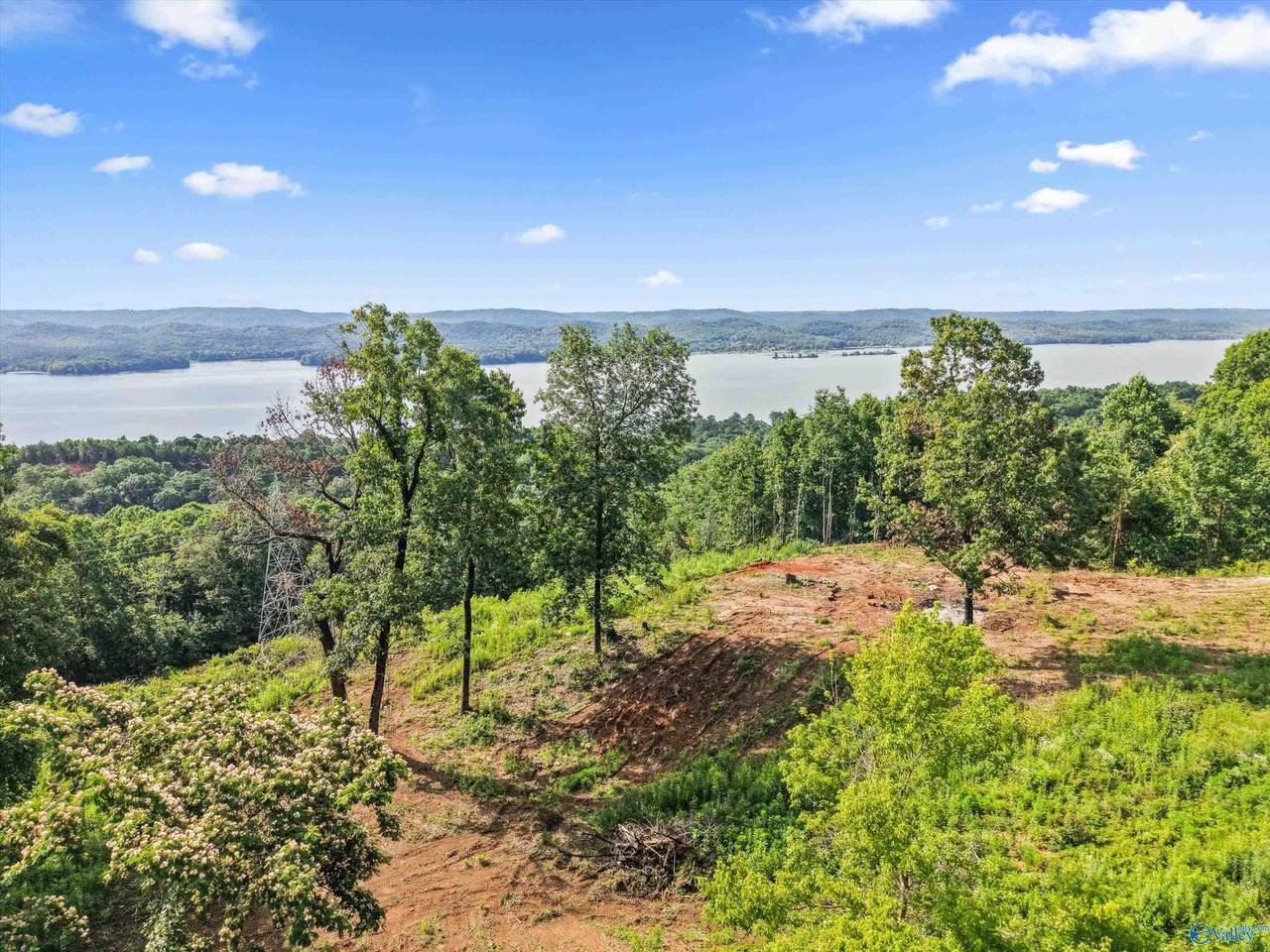 423 Keene Point Drive - Photo 1