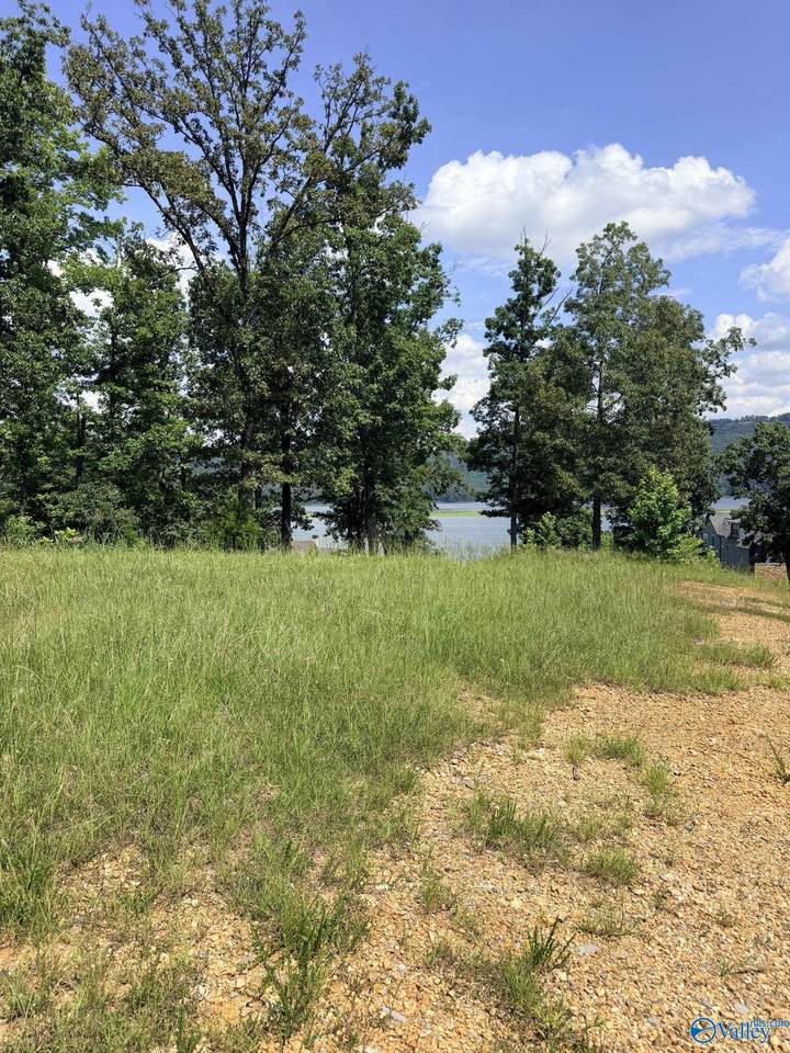 1749 Lookout Mountain Drive - Photo 1