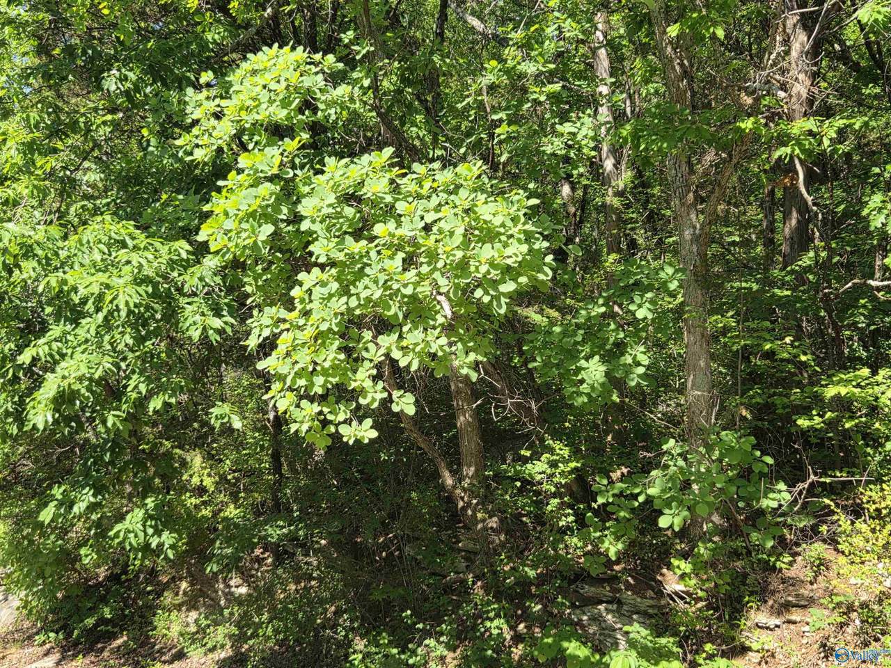 https://bt-photos.global.ssl.fastly.net/nalmls/1280_boomver_1_21922138-2.jpg