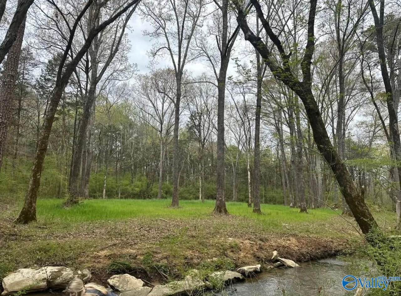 2703 Hwy 36 - Photo 1