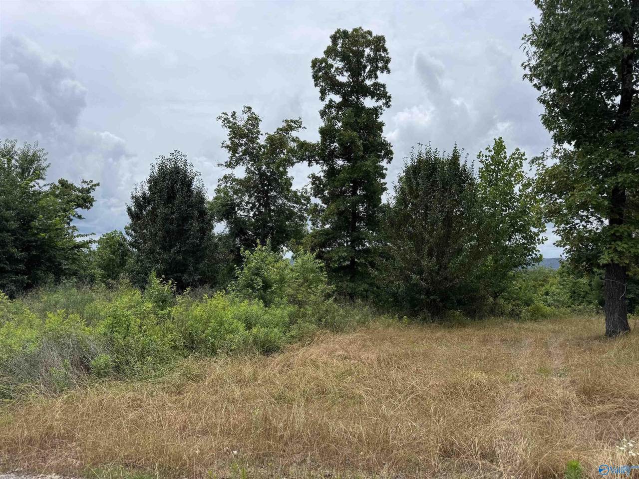 75 Vista Trail - Photo 1