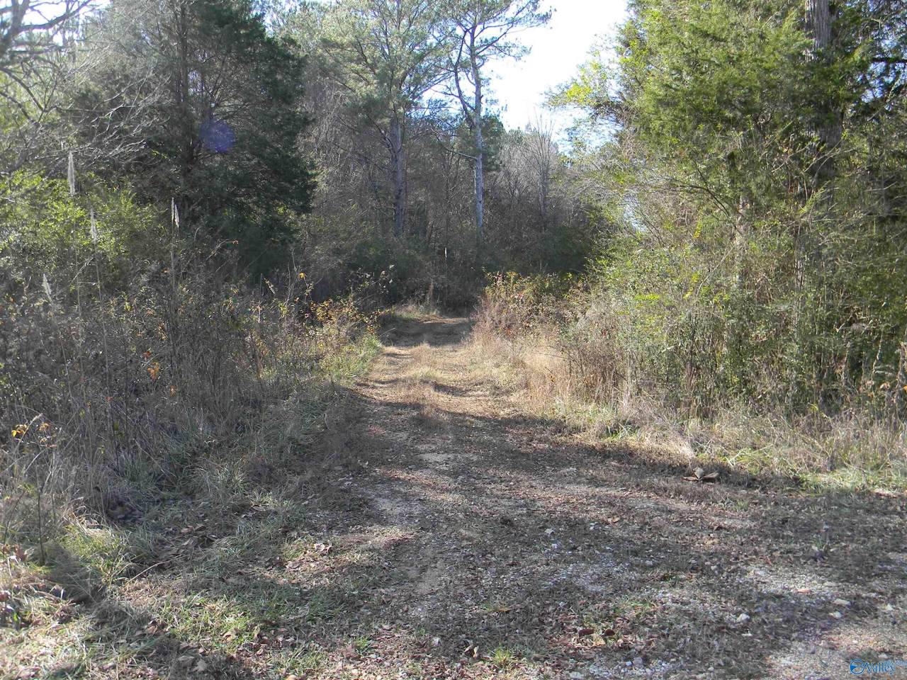 Track 7 County Road 41 - Photo 1