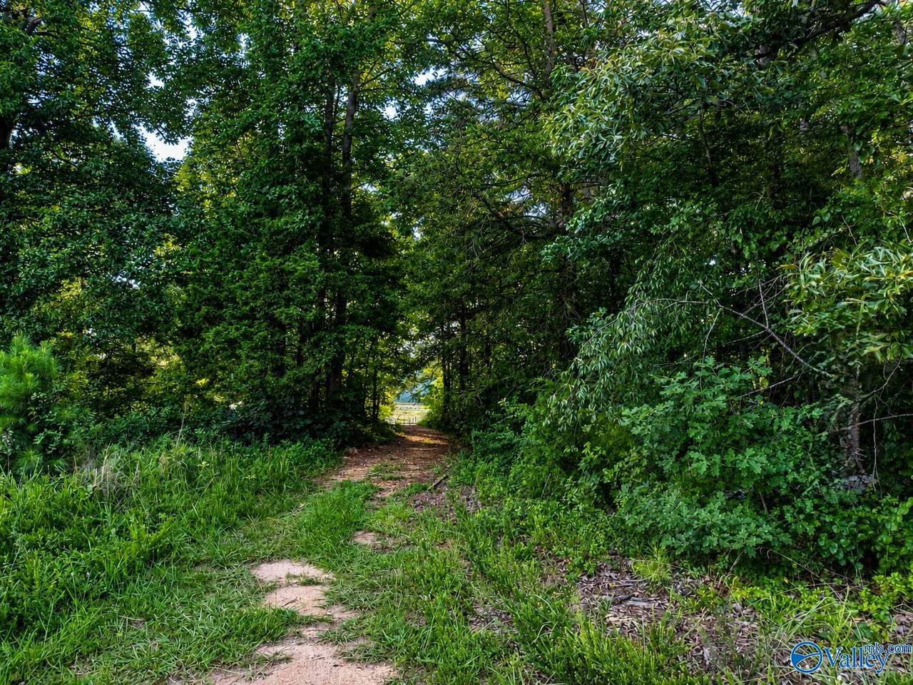 https://bt-photos.global.ssl.fastly.net/nalmls/1280_boomver_1_21922461-2.jpg