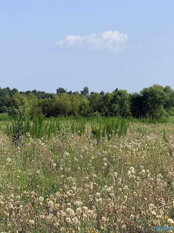 https://bt-photos.global.ssl.fastly.net/nalmls/1280_boomver_1_21922469-2.jpg