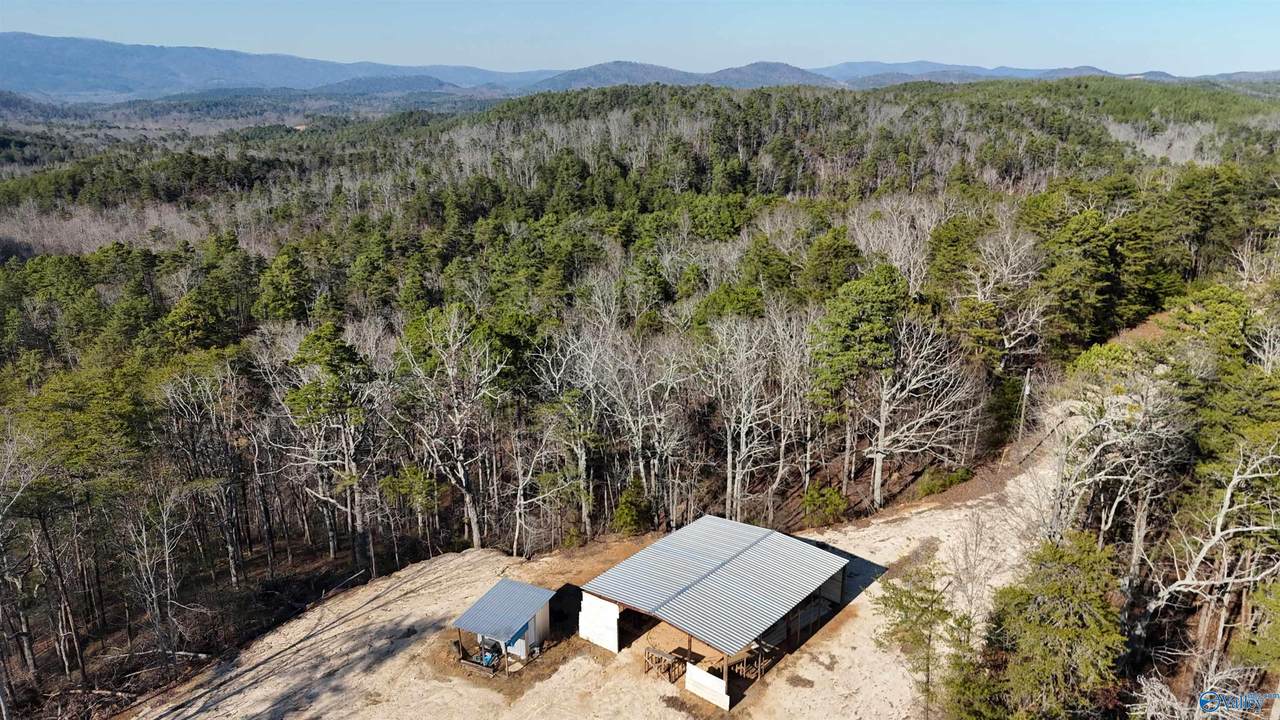 1032 County Road 202 - Photo 1
