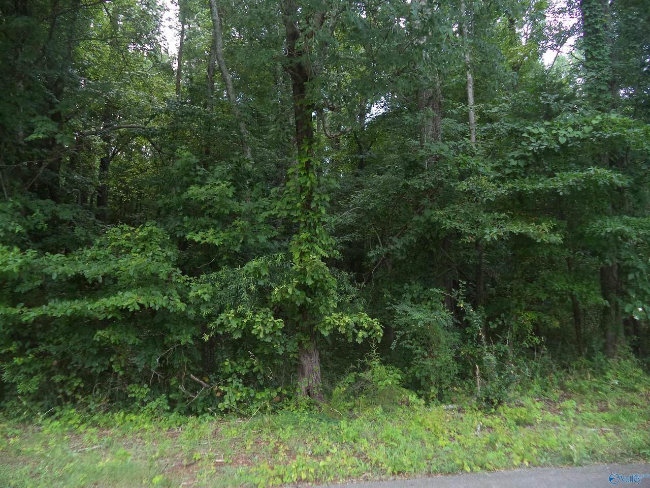 Lot 26 Cottonwood Drive - Photo 1